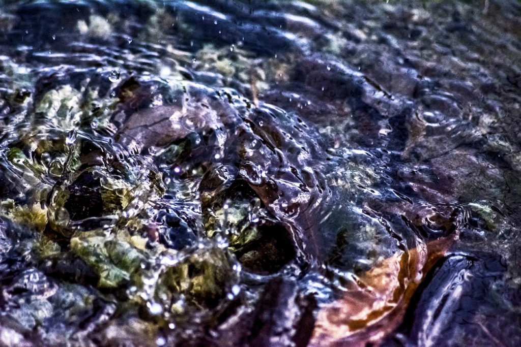ACQUA