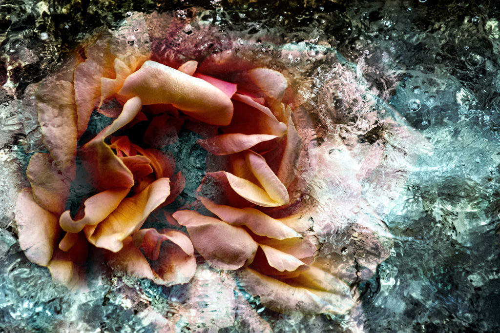 OltreleVisioni_Rosa
