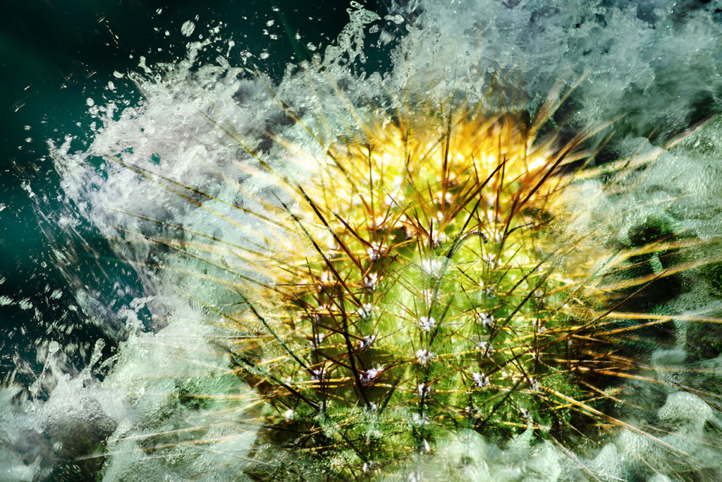 OltreleVisioni_Spinosa